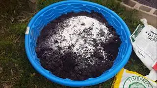 How to plant Sun chokes?
