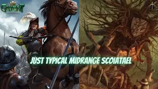 GWENT | Gascon Ironfalcon Point Slam | Scoia`Tael Bandit Rule!