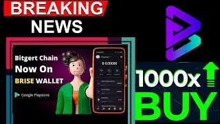 HUGE NEWS FOR BITGERT (BRISE) TOKEN |MUST WATCH!