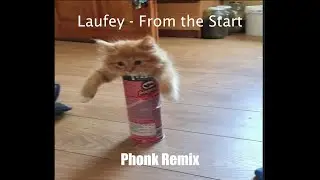 Laufey - From the Start (Phonk Remix)