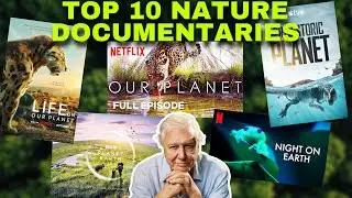 TOP 10 MOST AMAZING NATURE DOCUMENTARIES! (MUST SEE) part 1/2