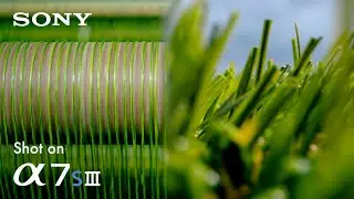 Making grass  | Cinematic Corporate Video | Sony A7sIII