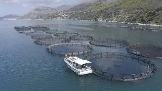 Fishing for gender equality: empowering women in Europe's seafood sectors