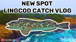 CALIFORNIA Fishing Vlog | norcal fishing vlog