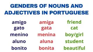 Gender of nouns and adjectives in Portuguese - Free PDF