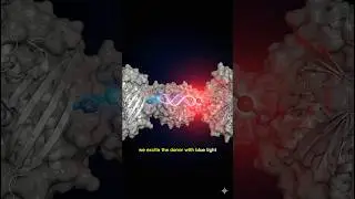 Protein Interaction Visible. TR-FRET & F&ouml;rster Resonance Energy Transfer ⚡ #biotech #science #facts