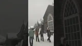 #shimla#snowfall#live#dream#travel#himachal#mountains#winter#friends#family#fun#food#music#trending