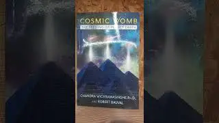 THE COSMIC WOMB VERY STRANGE READING