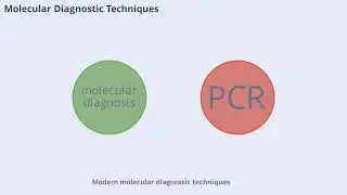 Blood bank technically difficult case study. Case presentation. Medical haematology