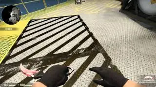 CS:GO Karambit | Slaughter FN Heart Pattern
