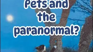 Pets and the Paranormal ~Is That a Thing?