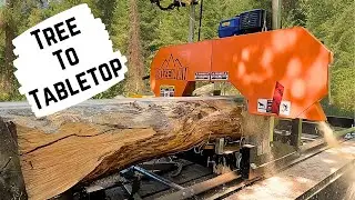 FIRST TIME On A Sawmill - Milling Maple for Countertops