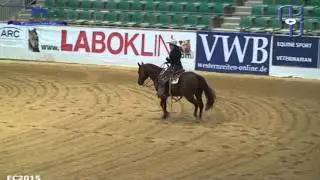Finale Senior Ranch Riding EM in Kreuth - Katharina Liesinger mit Mr Twister Mae