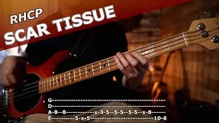 Red Hot Chili Peppers - Scar Tissue - Bass Cover With Song + Tab