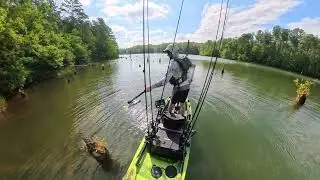 CHAOTIC C2C on the Sly Guy 6.2 Gill (Kayak Swimbait Fishing)