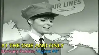 The One and Only Barbara Feldon