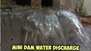 Stunning Dam Spillway Release | Huge Gate Opening with Powerful Water Flow