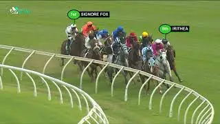 Key Factors | The TAB Everest Day | 17th October 2020
