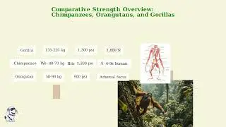 Primate Power: How Strong Are Great Apes?