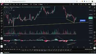 Gold Prediction and Why Gold Pumping ? | Bitcoin Analysis by Lalit Meena