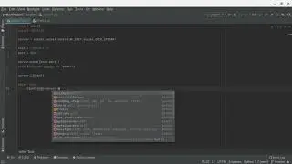 python socket tutorial