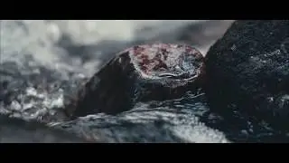 Canon EOS C200 8 bit test footage | Rokinon 85mm and 100mm Macro