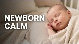 Baby Sleep Music 0–3 Years 🌙 Deep Sleep Lullaby | Calm Night Sounds for Babies