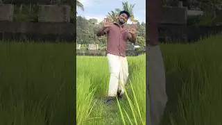 Onam Special 💃😁 #onamspecial  #onam2024  #trendingshorts  #sachinsebastian #vibewithsachin