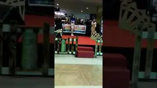 Model Competition - Talent Shafriani By TOTO MANAGEMENT