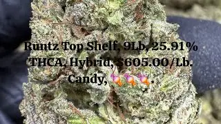 Legal Bulk THCA Hemp Flower | Verified Supply Chain | OC CC OR | Lowest Exit Prices