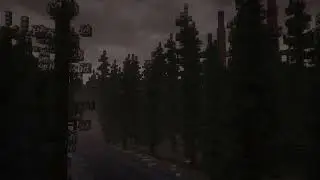 lacebark pine - whitepine OST