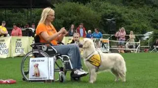 ForPes-UPF2011-HELPPES