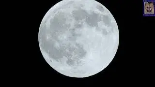 Full Moon 29th December 2020 🌕