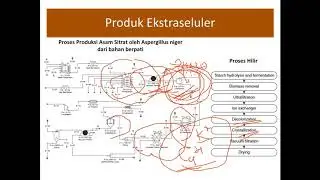 5.2 Introduction to Downstream Process 2: Cell Disruption