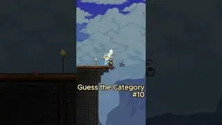 Guess the Terraria Category 10  #gaming #terraria #trivia