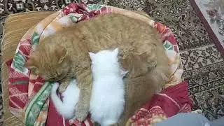 تذكروا رحمة الله بعباده