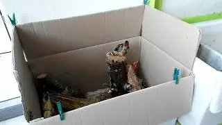 VID 20170813 100831
