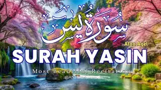 🔴 Surah Yaseen سورة يس | Relaxing Quran for Peaceful Sleep | Heart Touching Quran