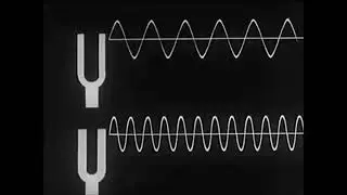 Tris Tras Tres, el Último Programa - Vibraciones