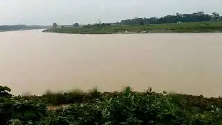 Dolphin (Platanista gangetica) in The Old Brahmaputra River at Baroigram Fish Sanctuary, Mymensingh.