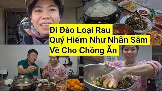1293# Đào Được Loại Rau Dại Quý Như Nhân Sâm Cho Chồng Ăn 