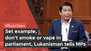 Set example, don't smoke or vape in parliament, Lukanisman tells MPs