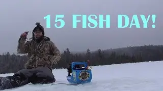 BWCA Ice Fishing LAKE TROUT