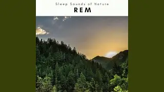Hard Recharge Powered by Natural Songs REM Dreams