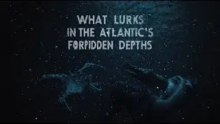 What Lurks in the Atlantic&rsquo;s Forbidden Depths | Documentary For Sleep