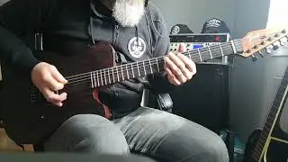 Born From Pain / Rise Or Die / Guitar Cover