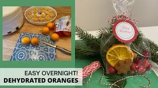 How to Dry Orange Slices on the Dehydrator - easy overnight!