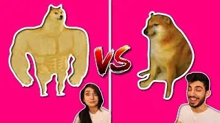 BUFF DOGE VS. CRYING CHEEMS MEME COMPILATION