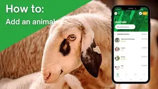 The Anymal App | How to: Add an animal