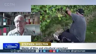 English wine industry has been transformed by rising temperatures